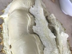 -新峰肉骨茶