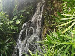 -燕晗山郊野公园