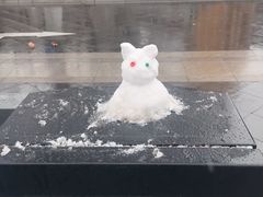 -山东省青岛第二中学(江西路分校)