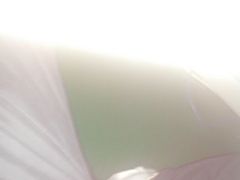 android_upload_pic-和颐至尊酒店(上海徐家汇漕河泾店)