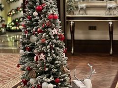 -Salon de Ville浦江汇(上海外滩华尔道夫酒店店)