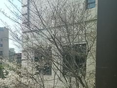 -杭州城中香格里拉大酒店