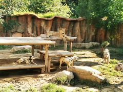 -北京野生动物园