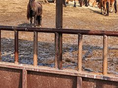 -沈阳森林动物园