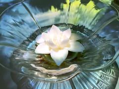 -良设夜宴 LIANGSHE