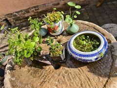 -蓝田九大碗民俗食府(蓝田店)