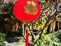 -龙华寺