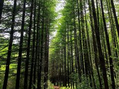 -秦岭风景区