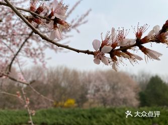 虽然说,这个️月基本就没见到什么好天儿……
