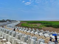 -南汇嘴观海公园