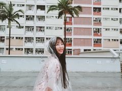 -彩虹村