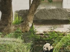 -石排湾郊野公园