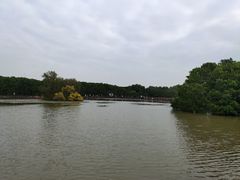-大湾区中央湿地公园