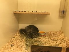 -龙猫仔乐园(惠福东路店)