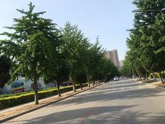 -东北大学(南湖校区)