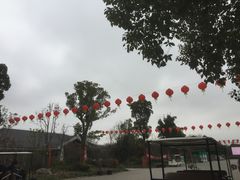 景点-上海海湾国家森林公园