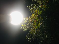 -湖畔居茶楼(湖滨店)