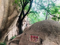 -嵖岈山风景区
