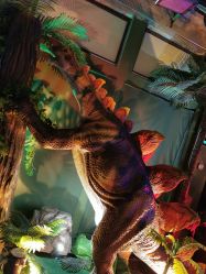 -恐龙探索乐园(磁器口店)