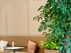 -Peet's 皮爷咖啡(海雅缤纷城店)