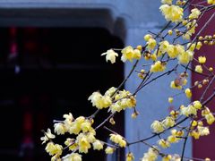 -钱王祠
