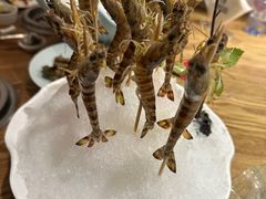 -尚海豆捞(乐虹坊店)