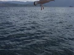 -丽江泸沽湖景区