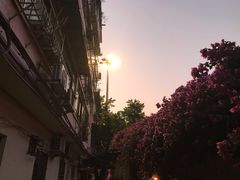 -芬芳甜品(东风西路店)