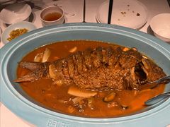 红烧黄河鲤鱼-阿五黄河大鲤鱼(纬三路店)