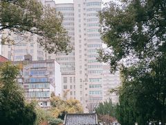 -绳金塔