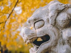 -北京石刻艺术博物馆(五塔寺)