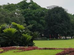 -广州中山纪念堂