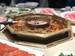 -蜀九香火锅(园艺山店)