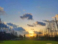 -前小桔亲子创意农场·草莓采摘·露营烧烤