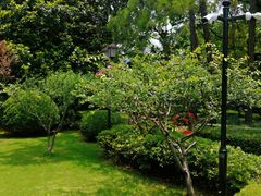 -虹迎轩·中餐厅(虹桥迎宾馆店)