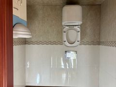 -金山农民画村-枫泾波兰倒置屋