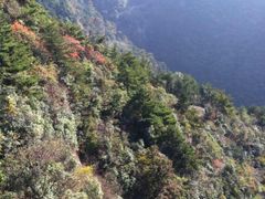 -东天目山风景区