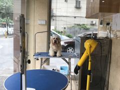 -瑞鹏宠物医院·夜间急症·心超·猫科(祖庙分店)