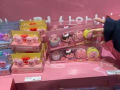 -KAKAO FRIENDS(弘大店)