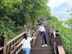 -青峰峡国家森林公园