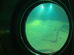 -白鹤梁水下博物馆