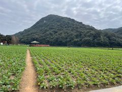-广州市石门国家森林公园