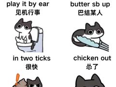 -新东方国际教育·雅思托福(海淀水清木华校区)