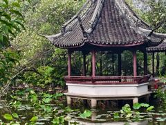 -上海醉白池公园