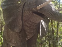 -石燕湖生态旅游景区