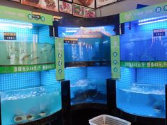 菜单-千岛湖小鱼儿·淳安匠心农家菜