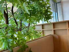 -金鼎轩(鸟巢北辰荟店)