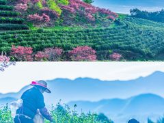-四明山国家森林公园