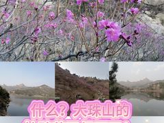 -青岛大珠山景区