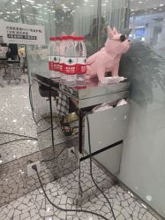 -时尚殿堂hair salon（上地华联店）